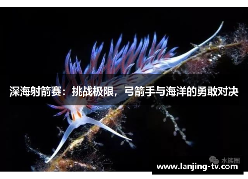 深海射箭赛：挑战极限，弓箭手与海洋的勇敢对决