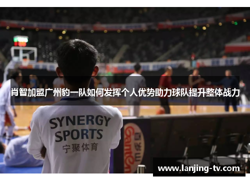 肖智加盟广州豹一队如何发挥个人优势助力球队提升整体战力