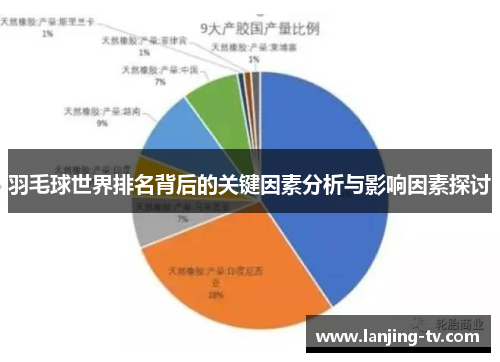 羽毛球世界排名背后的关键因素分析与影响因素探讨