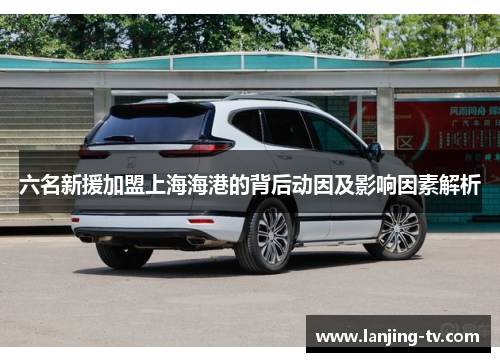 六名新援加盟上海海港的背后动因及影响因素解析