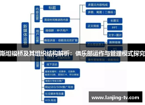 斯坦福桥及其组织结构解析：俱乐部运作与管理模式探究